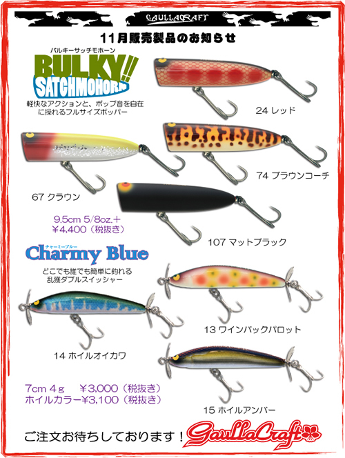 11月ガウラ.jpg
